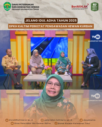 Jelang Idul Adha Tahun 2025 DPKH Kaltim Perketat Pengawasan Hewan Kurban