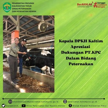 Kepala DPKH Kaltim Apresiasi Dukungan PT. KPC    Dalam Bidang Peternakan