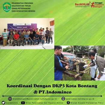 Koordinasi Dengan DKP3 Kota Bontang dan PT.Indominco