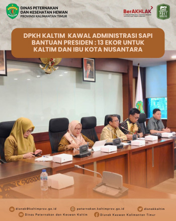 DPKH Kaltim Kawal Administrasi Sapi Bantuan Presiden : 13 Ekor Untuk Kaltim dan Ibu Kota Nusantara