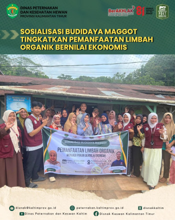 Sosialisasi Budidaya Maggot Tingkatkan Pemanfaatan Limbah Organik Bernilai Ekonomis