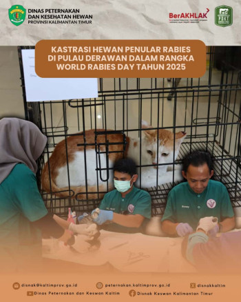 Kastrasi Hewan Penular Rabies di Pulau Derawan Dalam Rangka World Rabies Day Tahun 2025