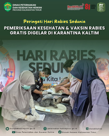 Peringati World Rabies Day 2026, DPKH Kaltim Gelar Pemeriksaan Kesehatan dan Vaksinasi Rabies Gratis