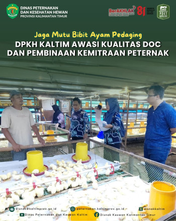 DPKH Kaltim Awasi Mutu DOC Ayam Pedaging dan Kemitraan Peternak di Palaran