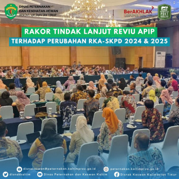 Rakor Tindak Lanjut Reviu APIP Terhadap Perubahan RKA-SKPD 2024 & 2025