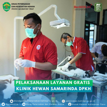 Pelaksanaan Layanan Gratis Klinik Hewan Samarinda DPKH