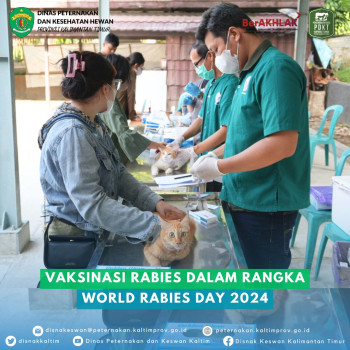 Vaksinasi Rabies Dalam Rangka World Rabies Day 2024