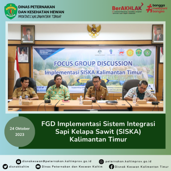 FGD Implementasi Sistem Integrasi Sapi Kelapa Sawit (SISKA) Kalimantan Timur