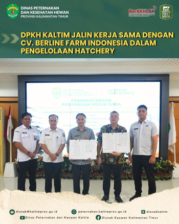 DPKH Jalin Kerja Sama dengan CV. Berline Farm Indonesia dalam Pengelolaan Hatchery