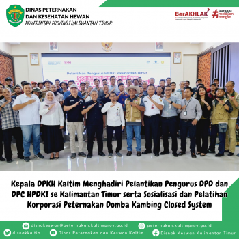 Kepala DPKH Kaltim Menghadiri Pelantikan Pengurus DPD dan DPC HPDKI se Kalimantan Timur serta Sosialisasi dan Pelatihan Korporasi Peternakan Domba Kambing Closed System