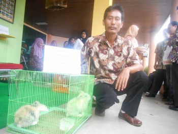 Samarinda Kembangkan Kelinci