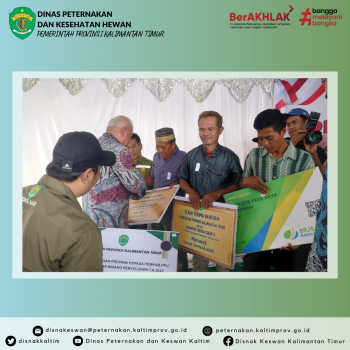 Dinas Peternakan dan Kesehatan Hewan (DPKH) Provinsi Kalimantan Timur mendampingi Kunjungan Kerja Gubernur Kaltim ke Kab. Penajam Paser Utara.