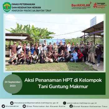 Aksi Penanaman HPT di Kelompok Tani Guntung Makmur