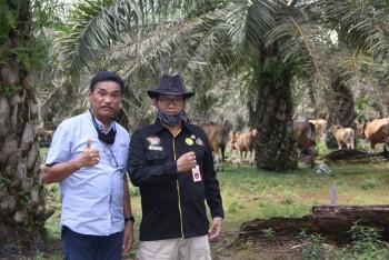 Kunjungan Miniranch Kab. Berau