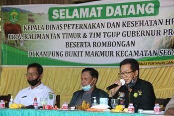 Kunjungan Miniranch Kab. Berau