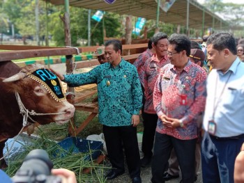 Bulan Bakti Peternakan 2019