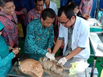Bulan Bakti Peternakan 2019