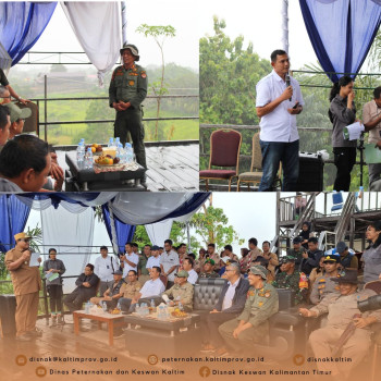 Seremoni Penyerahan Rusa Sambar UPTD PTHPT DPKH Kepada PT. Adaro Indonesia