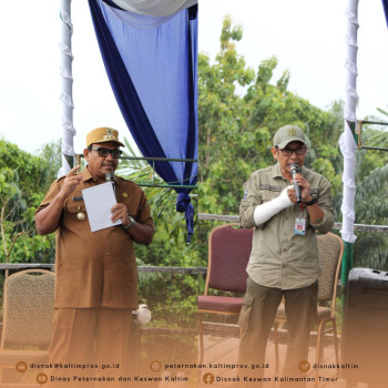 Seremoni Penyerahan Rusa Sambar UPTD PTHPT DPKH Kepada PT. Adaro Indonesia
