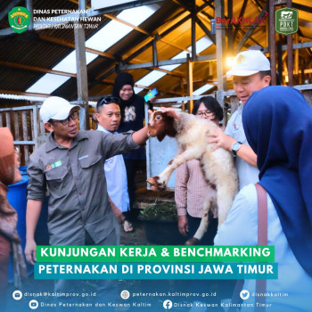 Kunjungan Kerja & Benchmarking Peternakan di Provinsi Jawa Timur