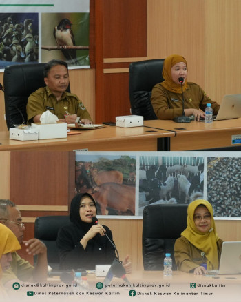 DPKH Kaltim Gelar Sosialisasi Kesejahteraan Hewan bagi Pengelola Shelter Mandiri Kota Samarinda
