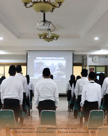 DPKH Hadiri Pengangkatan & Penyerahan SK PPPK Tahap I TA 2024 Secara Daring dan Luring