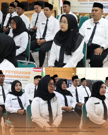 DPKH Hadiri Pengangkatan & Penyerahan SK PPPK Tahap I TA 2024 Secara Daring dan Luring