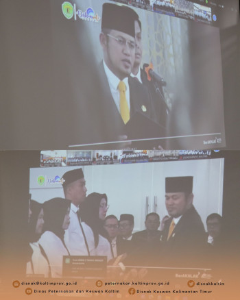 DPKH Hadiri Pengangkatan & Penyerahan SK PPPK Tahap I TA 2024 Secara Daring dan Luring