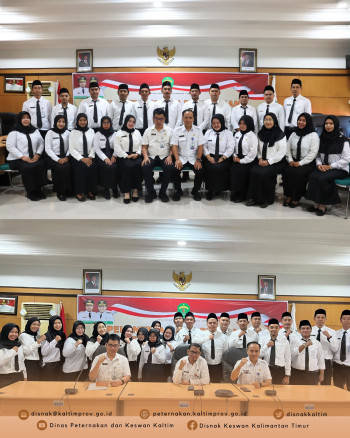 DPKH Hadiri Pengangkatan & Penyerahan SK PPPK Tahap I TA 2024 Secara Daring dan Luring