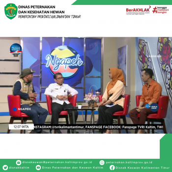 Pengembangan Bisnis Sapi Peternakan di Kaltim