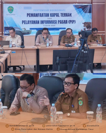 Rapat Koordinasi PIP dan Kapal Ternak 2025 Perkuat Distribusi dan Sistem Informasi Peternakan