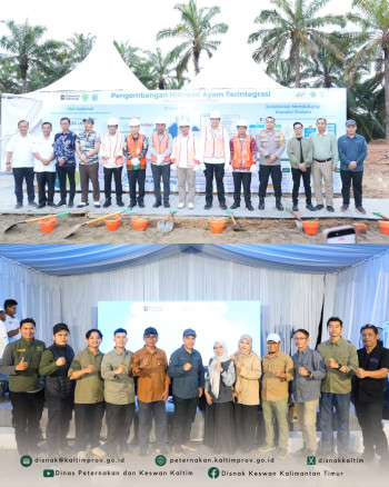 Mendukung Ketahanan Pangan : Groundbreaking Proyek Strategis Nasional Integrated Poultry di Kalimantan Timur