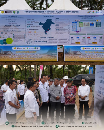 Mendukung Ketahanan Pangan : Groundbreaking Proyek Strategis Nasional Integrated Poultry di Kalimantan Timur