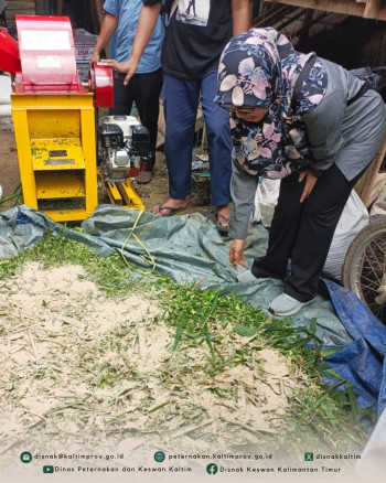 DPKH Kaltim Bekali Peternak PDKT Bontang dengan Praktik Pengolahan Pakan