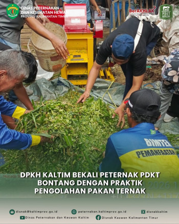 DPKH Kaltim Bekali Peternak PDKT Bontang dengan Praktik Pengolahan Pakan