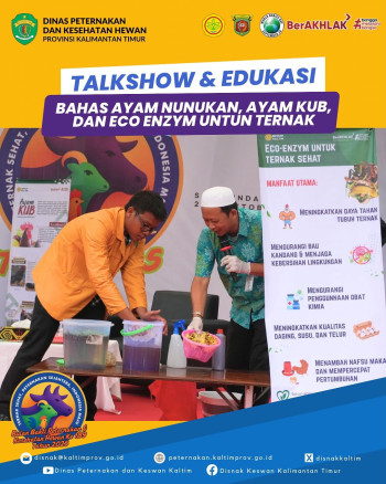 Talk Show dan Edukasi Bahas Ayam Nunukan, Ayam KUB, dan Eco Enzym Untuk Ternak