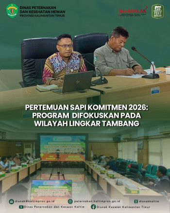 Pertemuan Koordinasi Sapi Komitmen 2026: Program Akan Difokuskan pada Wilayah Lingkar Tambang.