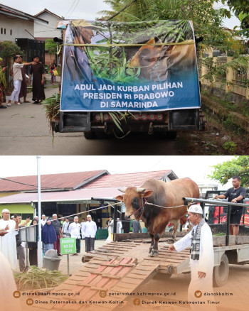 Bantuan Kemasyarakatan Presiden dalam rangka Hari Raya Idul Adha 1446 H/2025 untuk Masjid Jami Ar-Rasyidin di Provinsi Kalimantan Timur.