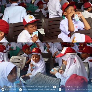 Gerakan Makan Daging, Telur, & Minum Susu Sebagai Upaya 