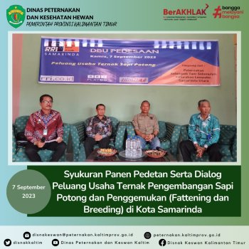 Syukuran Panen Pedetan Serta Dialog Peluang Usaha Ternak Pengembangan Sapi Potong dan Penggemukan (Fattening dan Breeding) di Kota Samarinda