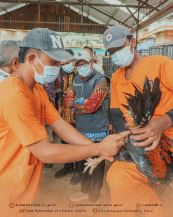 DPKH Kaltim dan Fakultas Peternakan UB Jalin Kerja Sama dalam Pengembangan Peternakan dan Kesehatan Hewan