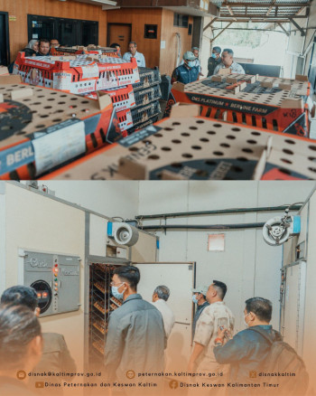 DPKH Kaltim dan Fakultas Peternakan UB Jalin Kerja Sama dalam Pengembangan Peternakan dan Kesehatan Hewan