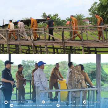 Kunjungan Kerja Pj. Gubernur Kaltim Lokasi Pembangunan  Eduwisata Peternakan & Kandang Infasi UPTD PTHPT