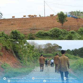 Kunjungan Kerja Pj. Gubernur Kaltim Lokasi Pembangunan  Eduwisata Peternakan & Kandang Infasi UPTD PTHPT