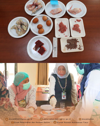 Kegiatan Parameter dan Interpretasi Hasil Uji Dalam Rangka Pelatihan Asisten Pengawas Kesmavet 