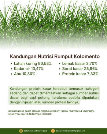 Rumput Kolomento (Leersia hexandra Swartz) sebagai Hijauan Pakan Lokal Potensial