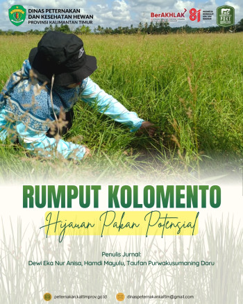 Rumput Kolomento (Leersia hexandra Swartz) sebagai Hijauan Pakan Lokal Potensial