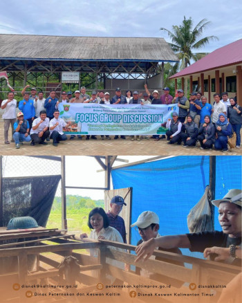 Kepala DPKH Kaltim Jadi Narasumber FGD Strategi Pengembangan Peternakan Samarinda
