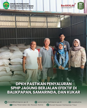 DPKH Pastikan Penyaluran SPHP Jagung Berjalan Efektif di Balikpapan, Samarinda, dan Kukar