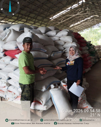DPKH Pastikan Penyaluran SPHP Jagung Berjalan Efektif di Balikpapan, Samarinda, dan Kukar